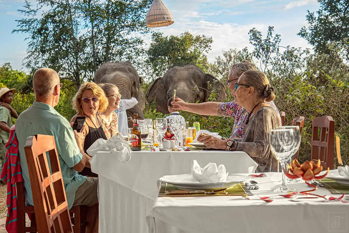 people dining with an elephant